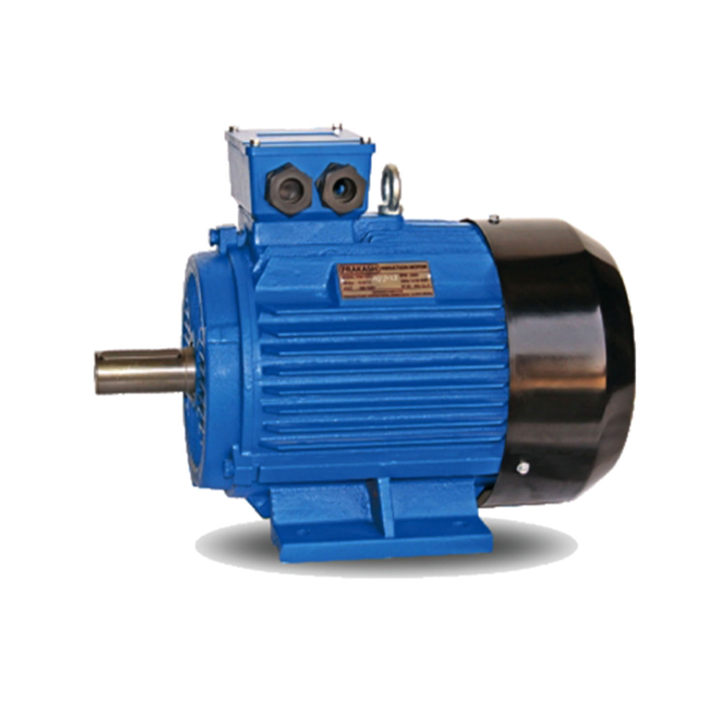 Prakash Pump  Induction Motor Supplier In UAE,OMAN